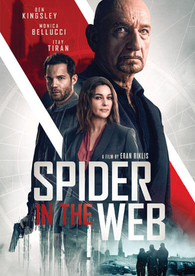 Spider in the Web Spider in the Web